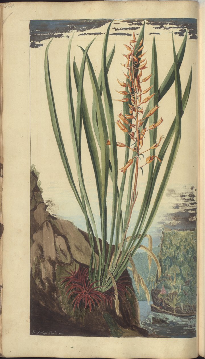 A page from the 