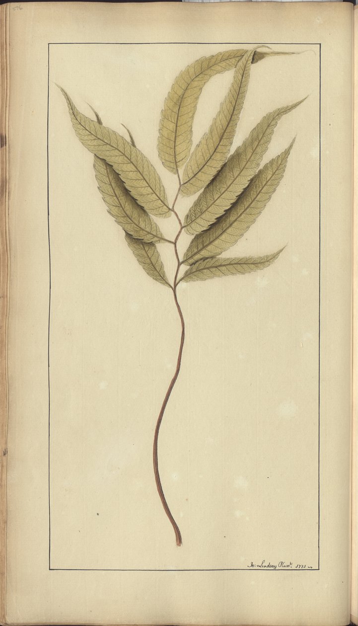 A page from the 