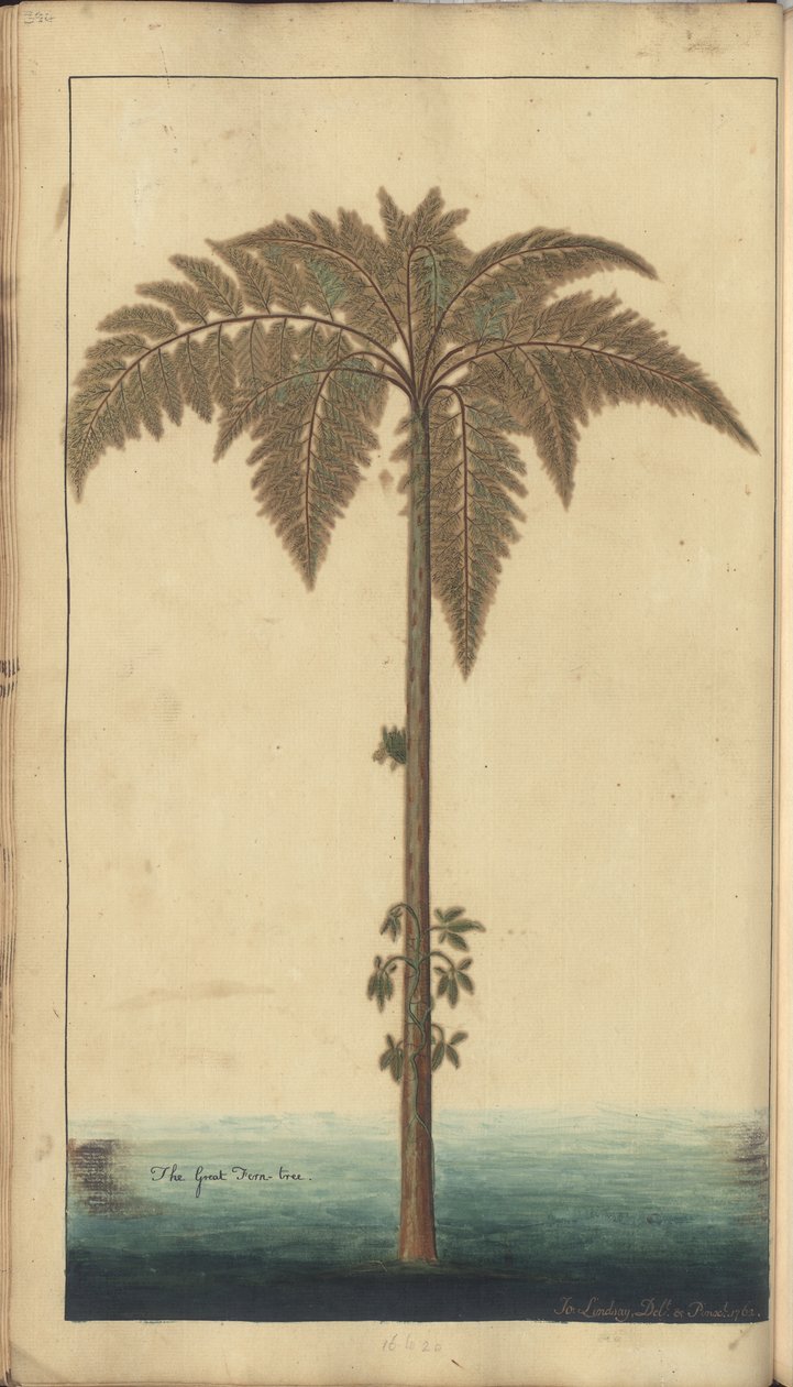 A page from the 