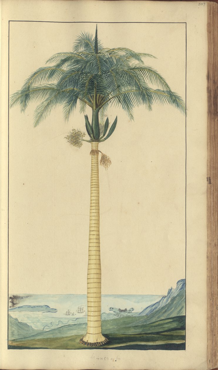 A page from the 