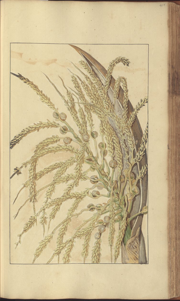 A page from the 