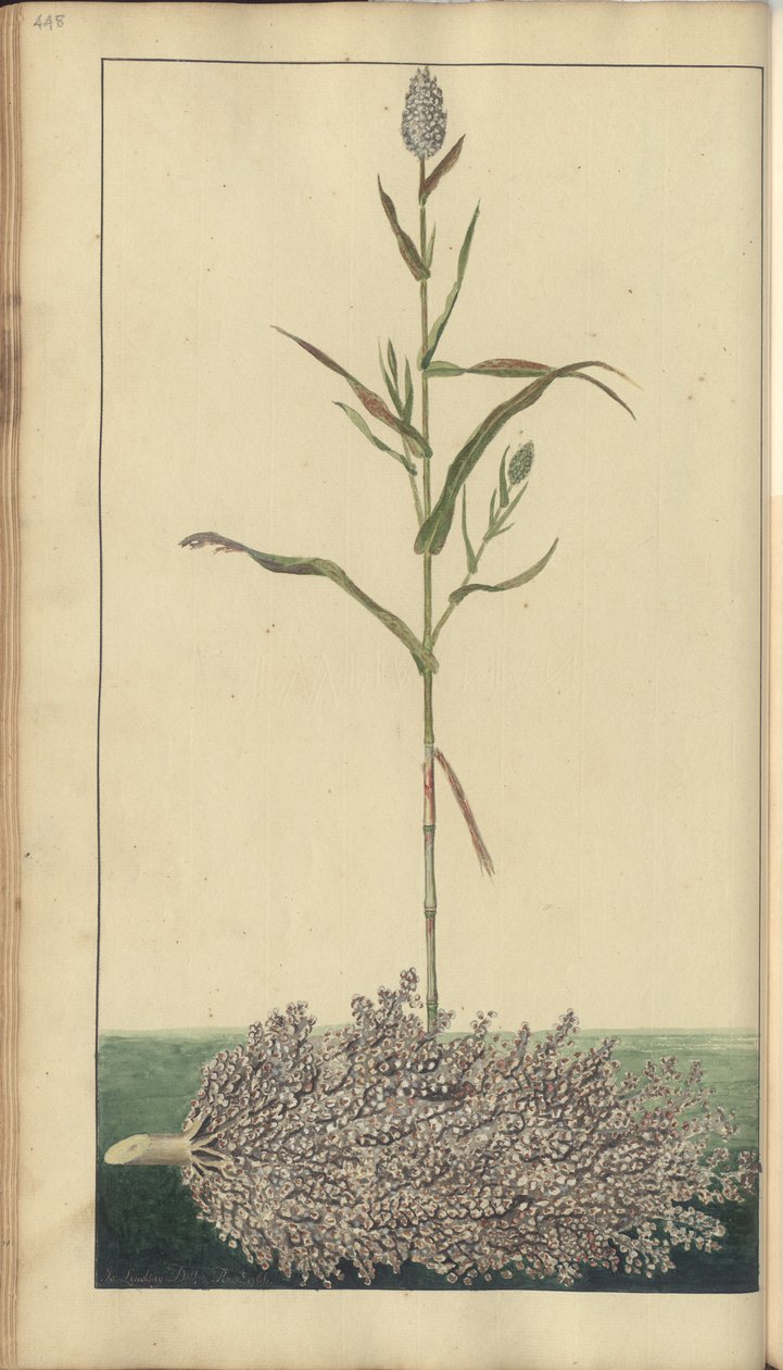 A page from the 