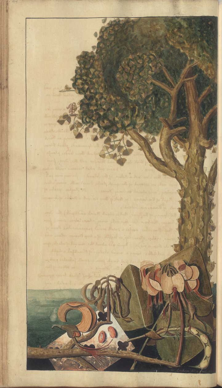A page from the 