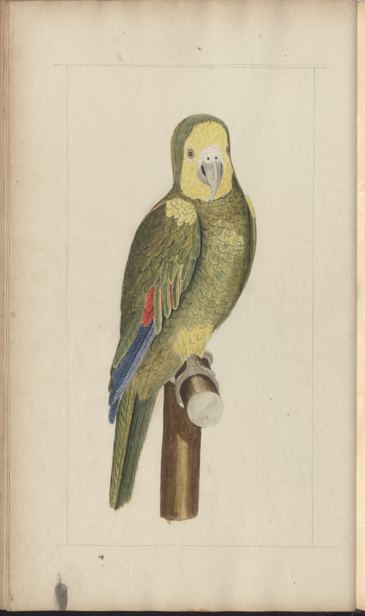 A page from the 