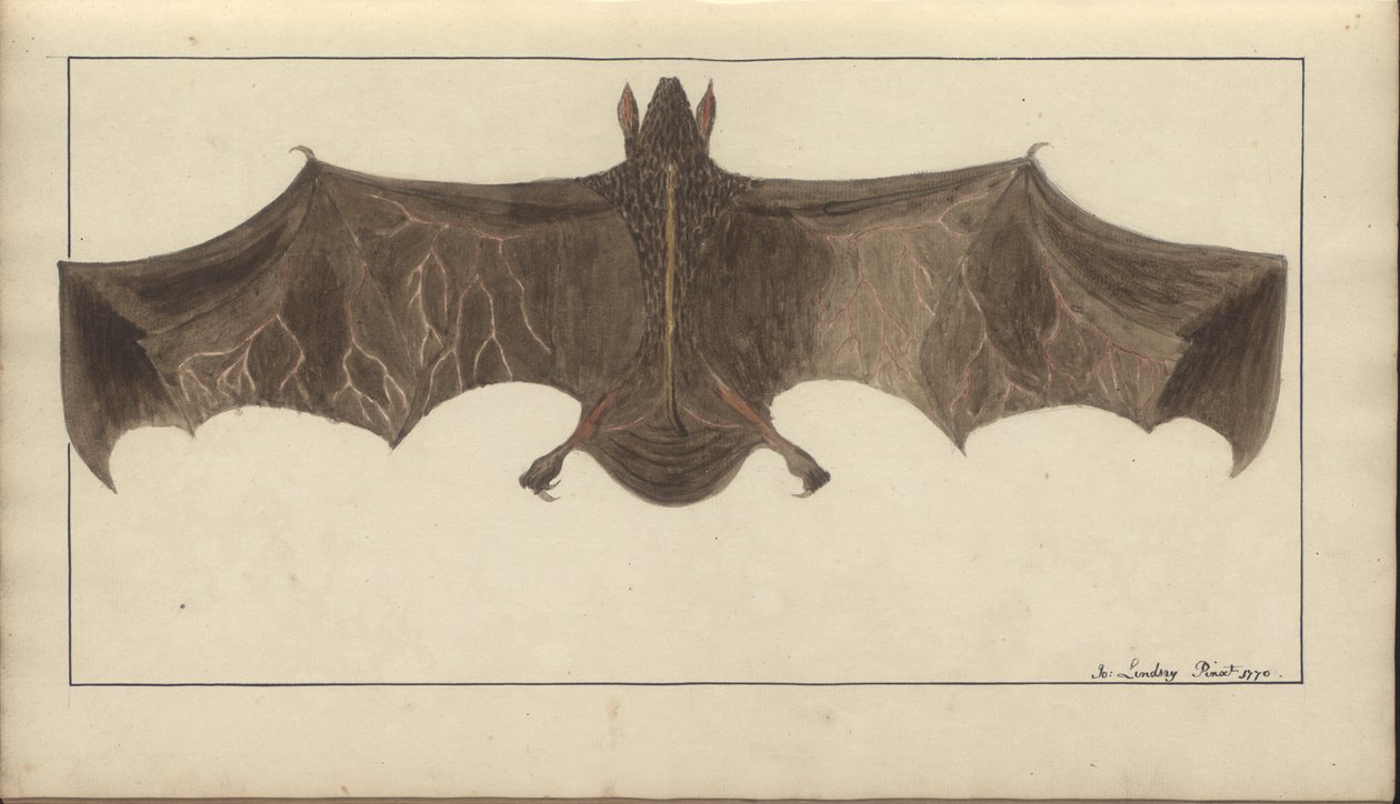 A page from the 
