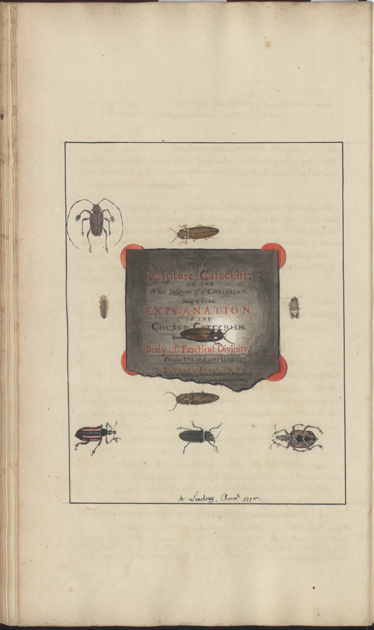 Lindsay Drawings Vol. VI, 95 بواسطة جون ليندسي