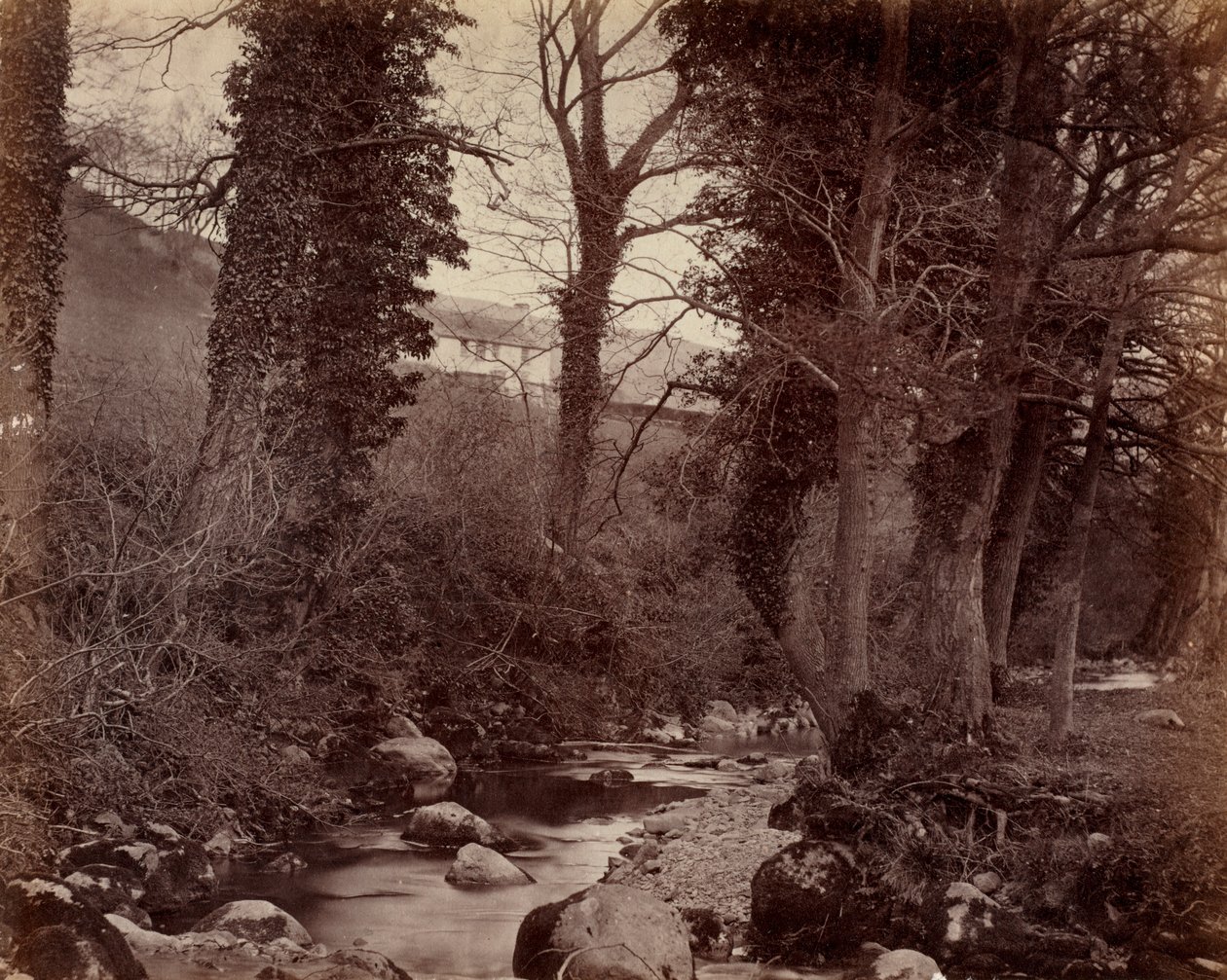 بدون عنوان ، ج. 1859. بواسطة جون لويد