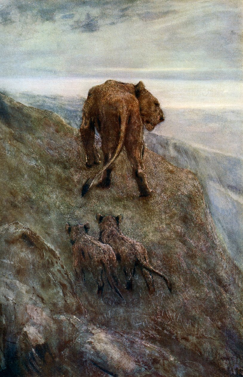 في حالة تأهب - اللبؤة والأشبال ، c1878-1910 ، 1912. بواسطة جون ماكالان سوان