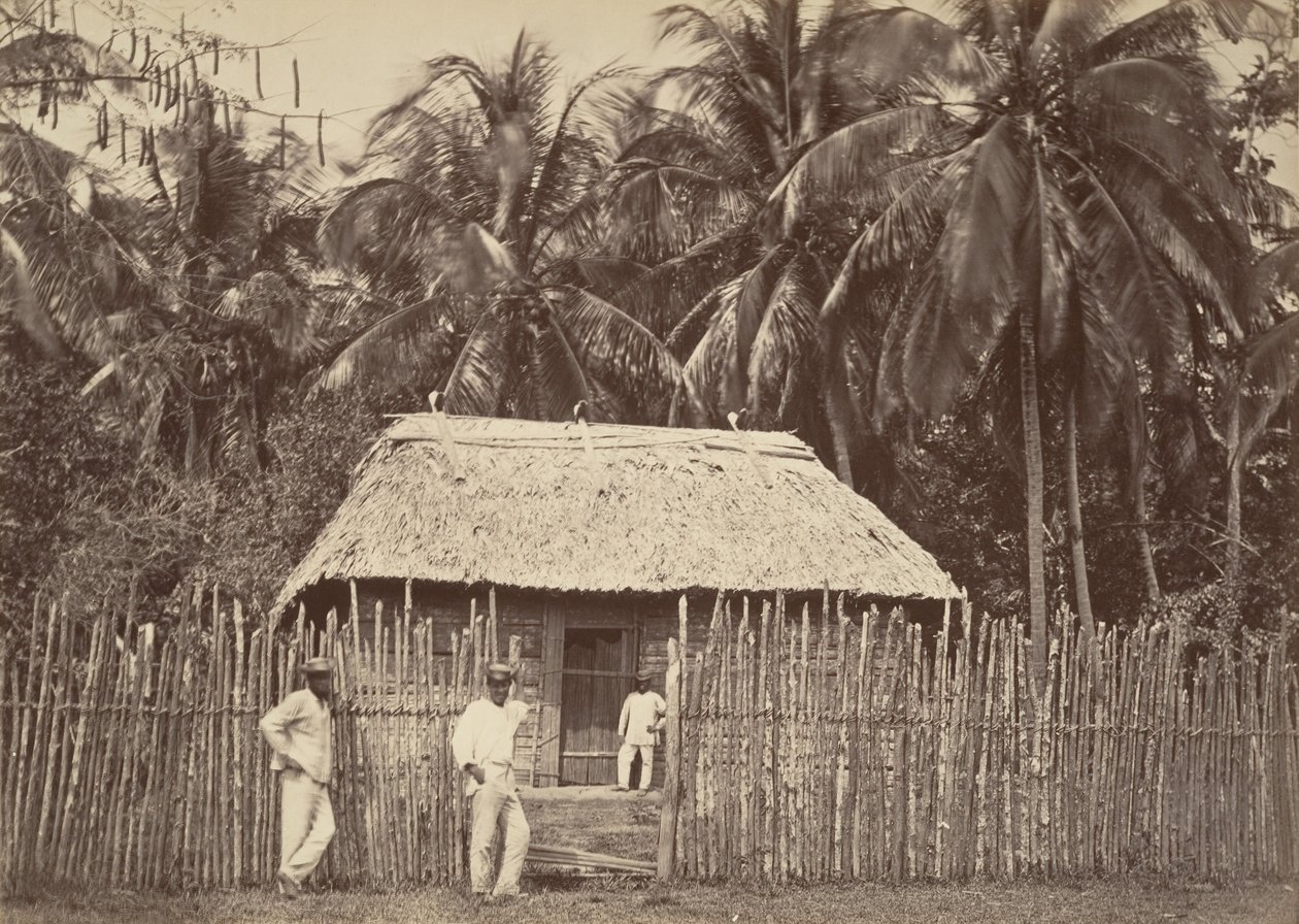مشهد استوائي ، Native Hut ، توربو ، 1871. بواسطة جون موران