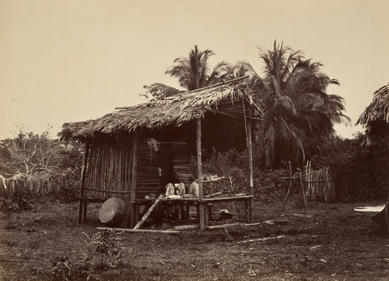 مشهد استوائي ، Native Hut ، توربو ، 1871. بواسطة جون موران