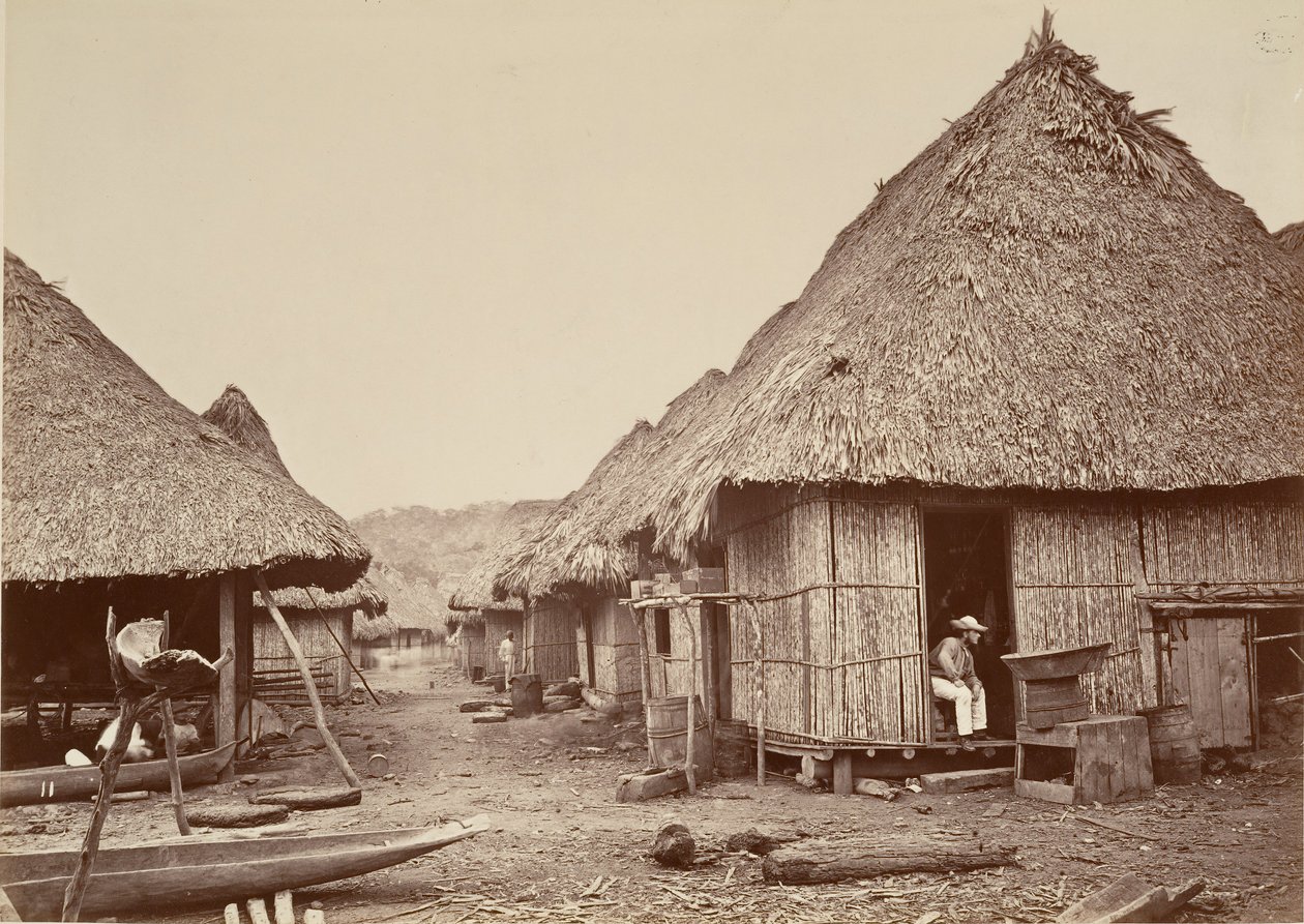 مشهد استوائي ، شارع ، تشيبيجانا ، 1871. بواسطة جون موران