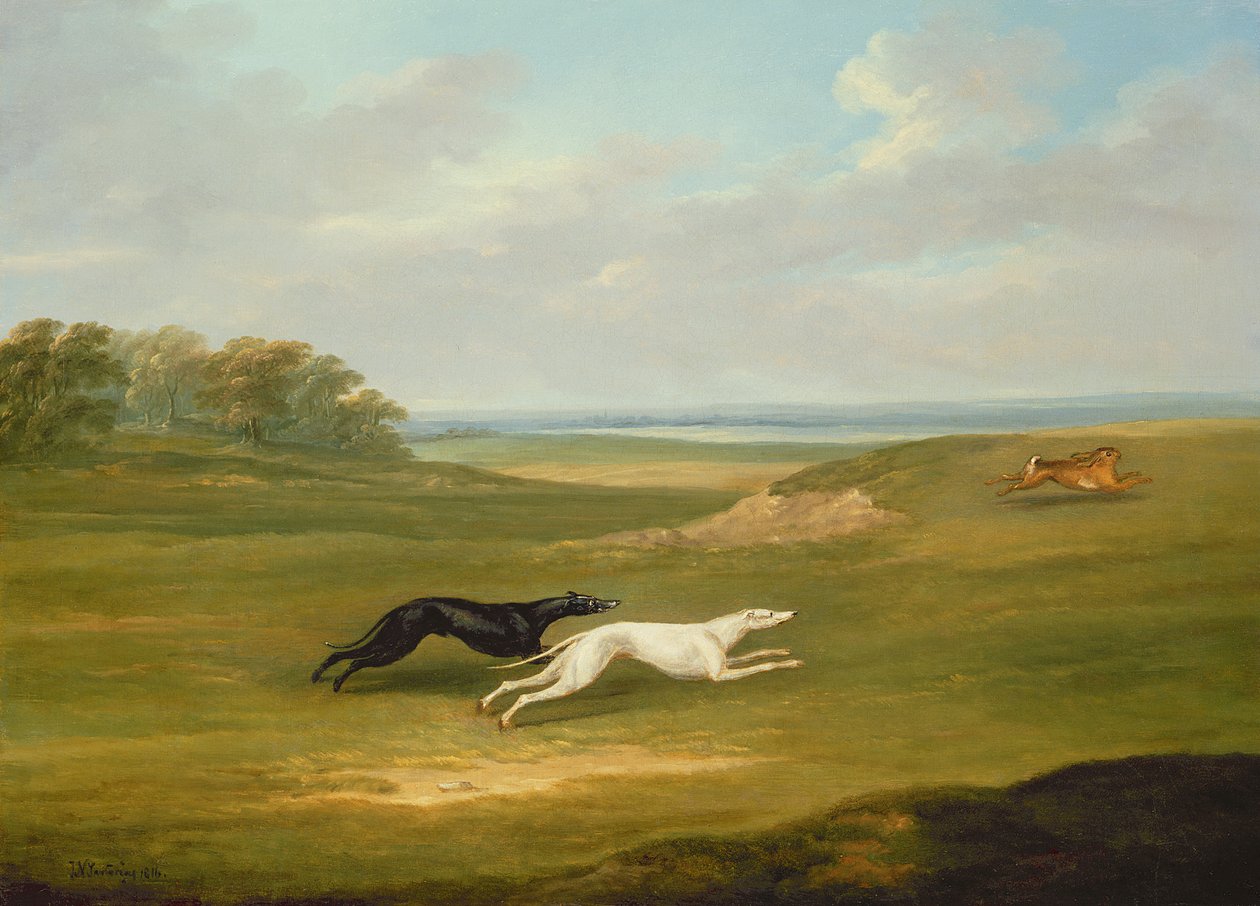 Running, a Coursing Scene بواسطة جون نوت سارتوريوس