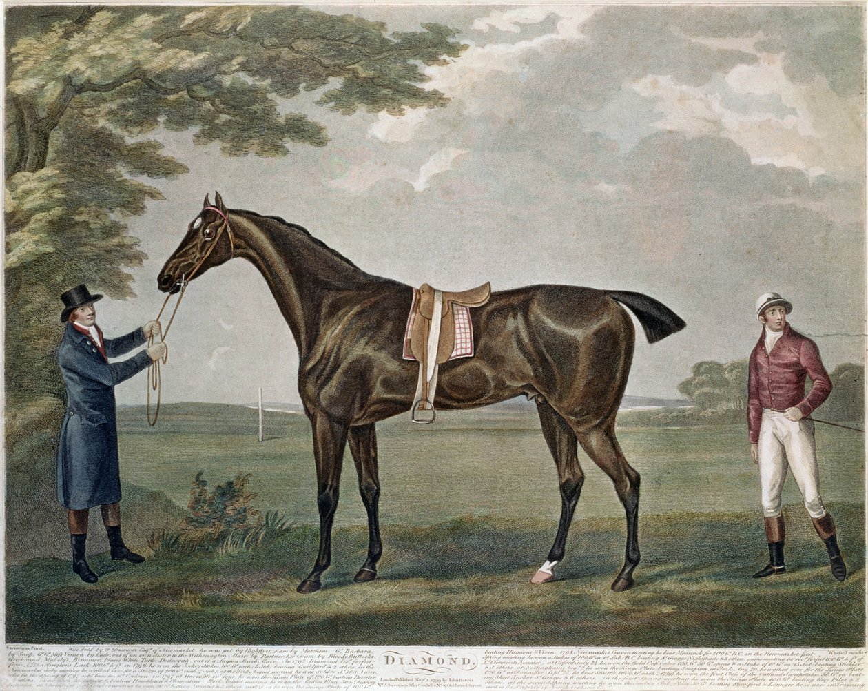 الماس Racehorse ، ج .1799 بواسطة جون نوت سارتوريوس