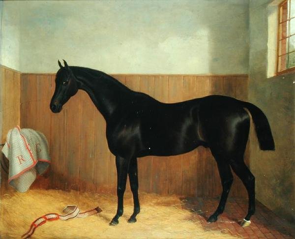 تومي ، صورة حصان ، حوالي 1870 (زيت على قماش) بواسطة جون بول