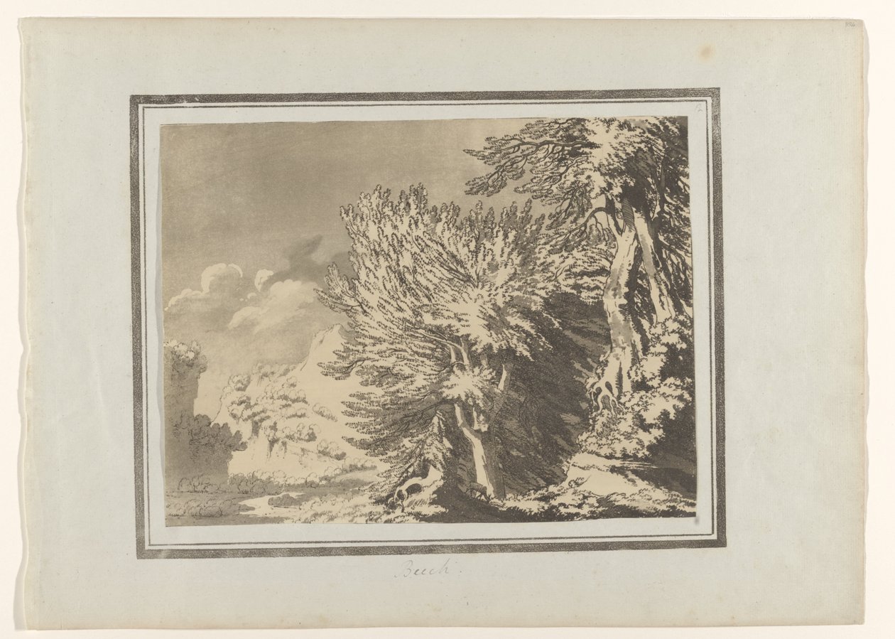 بيوك الزان (العنوان على الكائن) Verschillende soorten Bomen (عنوان المسلسل) ترسيمات الطابع العام لأشجار الغابات وانعكاساتها وأوراقها (عنوان السلسلة) بواسطة جون روبرت Cozens