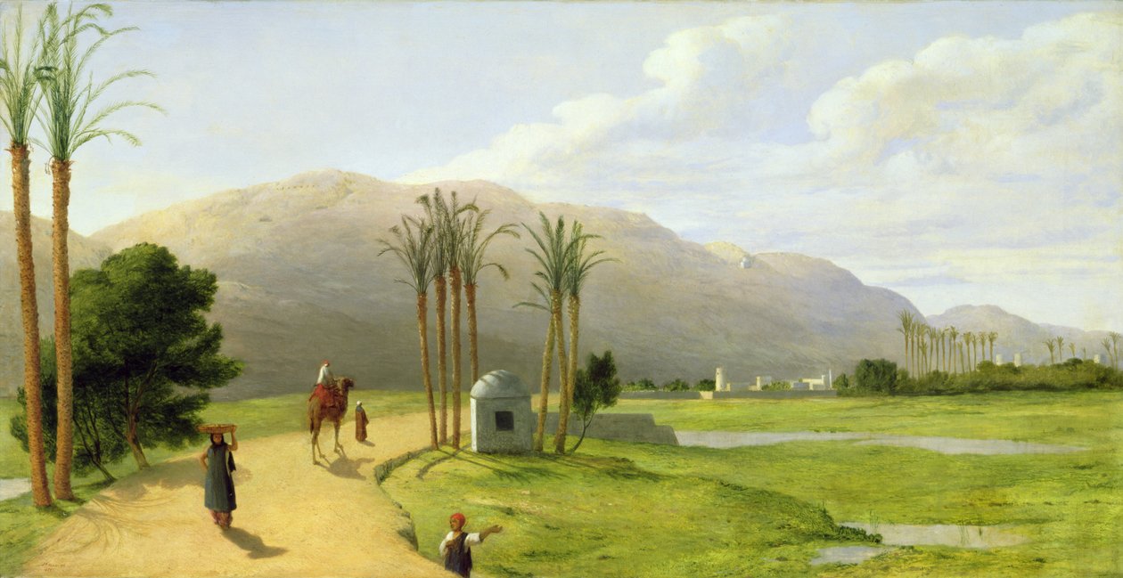 أسيوط على النيل ، 1873 بواسطة جون روجرز هربرت
