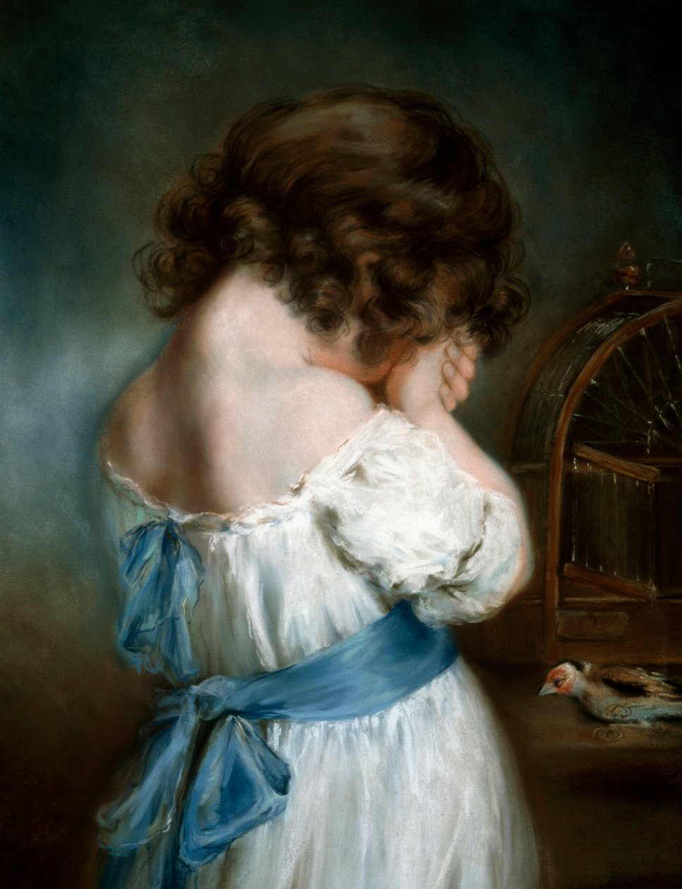 طائر الحسون بواسطة جون راسل