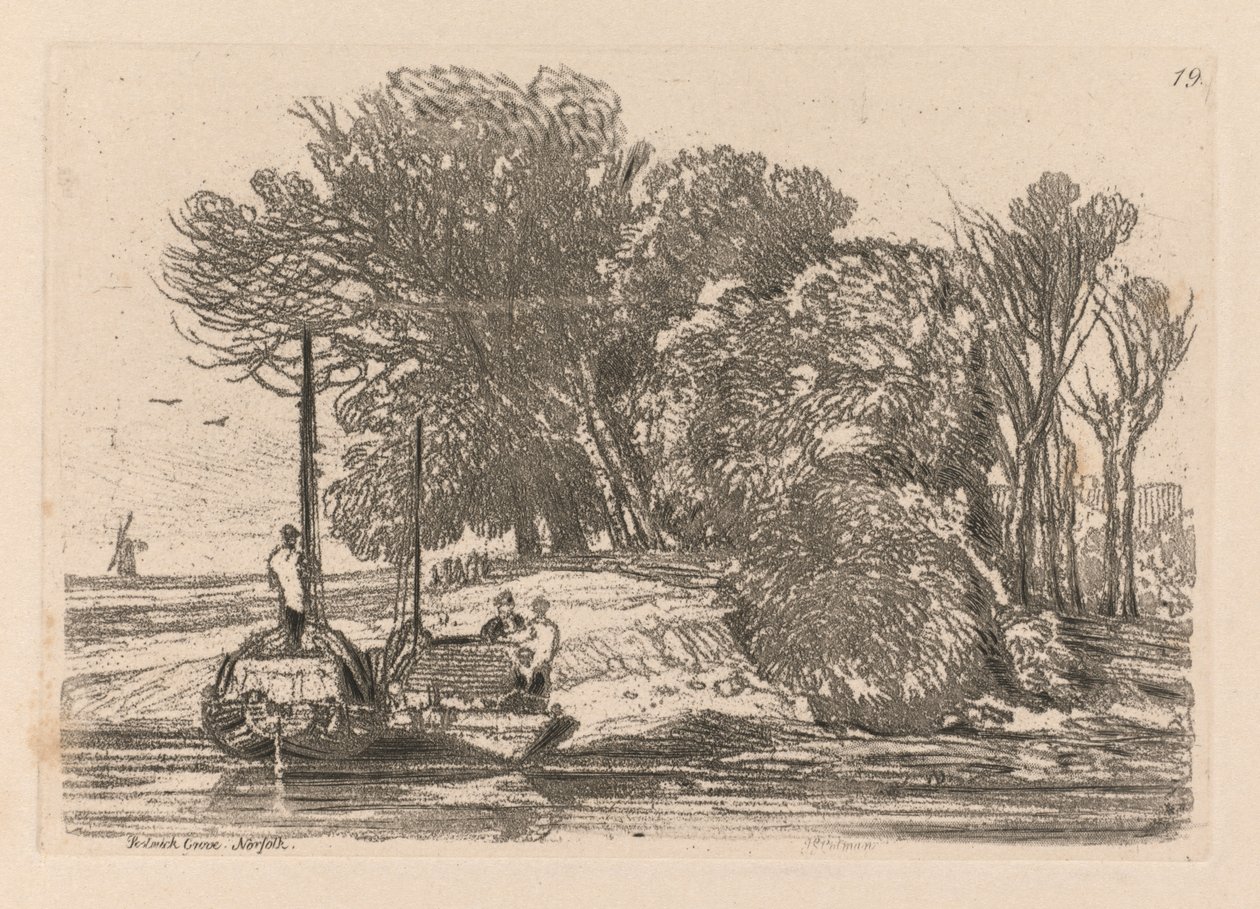 الدراسات مجانية اللوحة 19 ، Postwick Grove ، Norfolk ، 1838. بواسطة جون سيل كوتمان