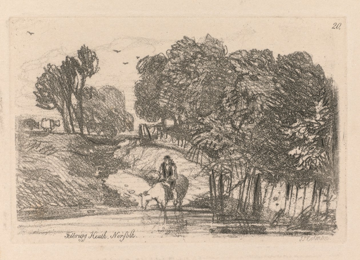 Liber Studiorum: اللوحة 20 ، Felbrigg Heath ، Norfolk بواسطة جون سيل كوتمان