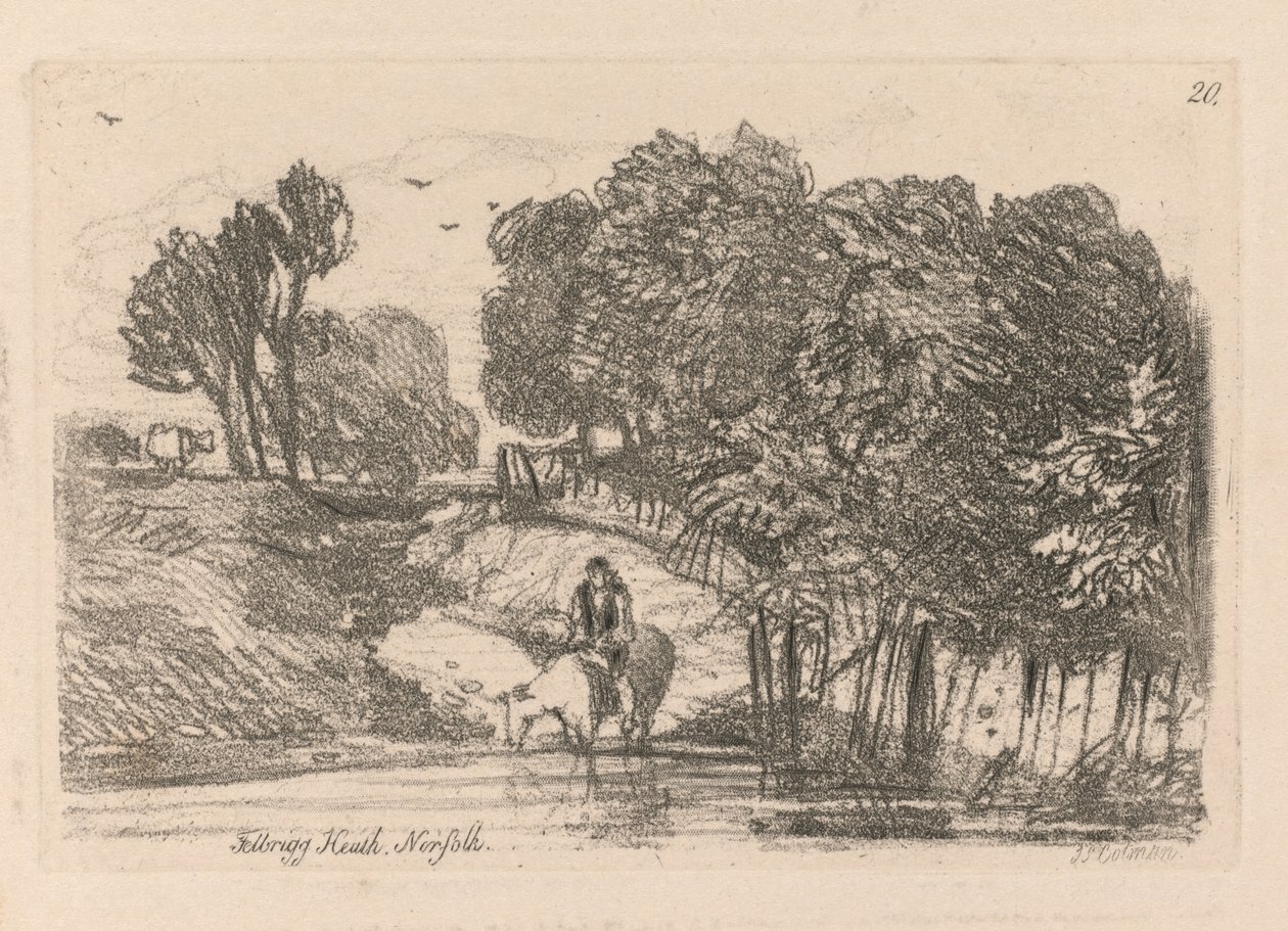الدراسات مجانية اللوحة 20 ، Felbrigg heath ، نورفولك ، 1838. بواسطة جون سيل كوتمان