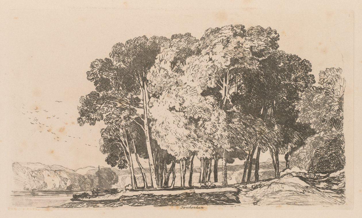 دراسات مجانية لوحة 3 أشجار بالقرب من تويكنهام ، 1838. بواسطة جون سيل كوتمان