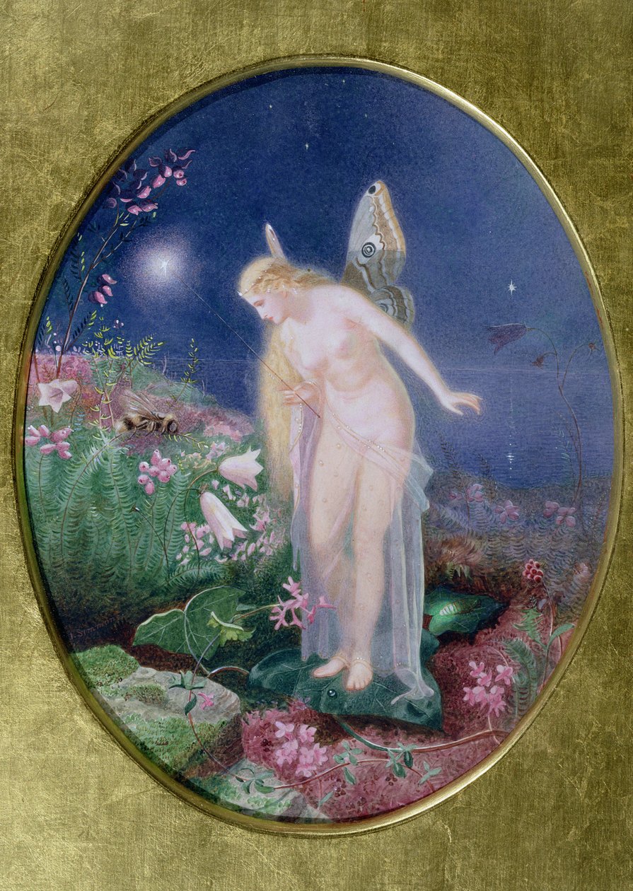 تسرق أكياس العسل من النحل المتواضع ، ومن الليل تنحرف فخذي الشمع وتضيئهما في عيون Fairy Glow-Worm&39;s بواسطة جون سيمونز