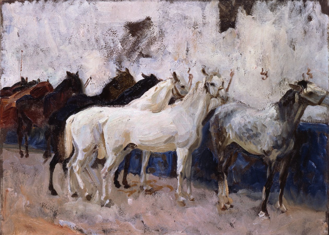 الخيول في بالما ، مايوركا ، إسبانيا ، 1908 بواسطة جون سينغر سارجنت
