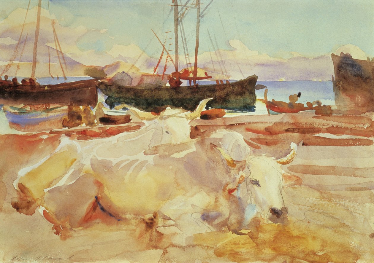 الثيران على الشاطئ في بايا ، c.1908 (مرحاض على الورق) بواسطة جون سينغر سارجنت