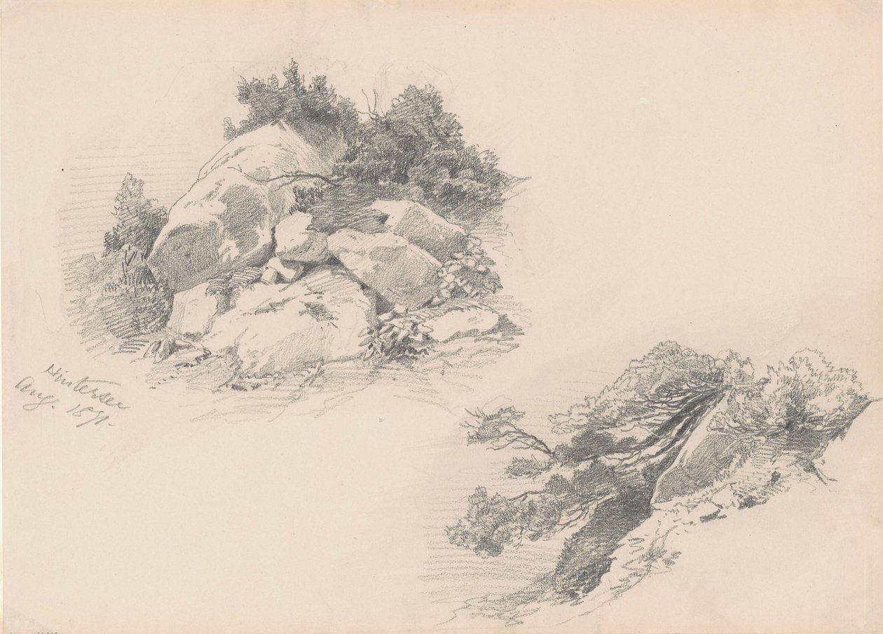 Rocks and Brush ، Hintersee ، ألمانيا ، 1871 (الجرافيت على ورق wover) بواسطة جون سينغر سارجنت