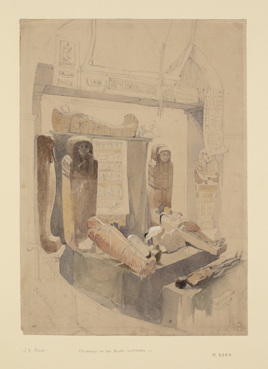 مومياوات في معهد بريستول ، حوالي عام 1834 (ألوان مائية وقلم رصاص على ورق) بواسطة جون سكينر بروت