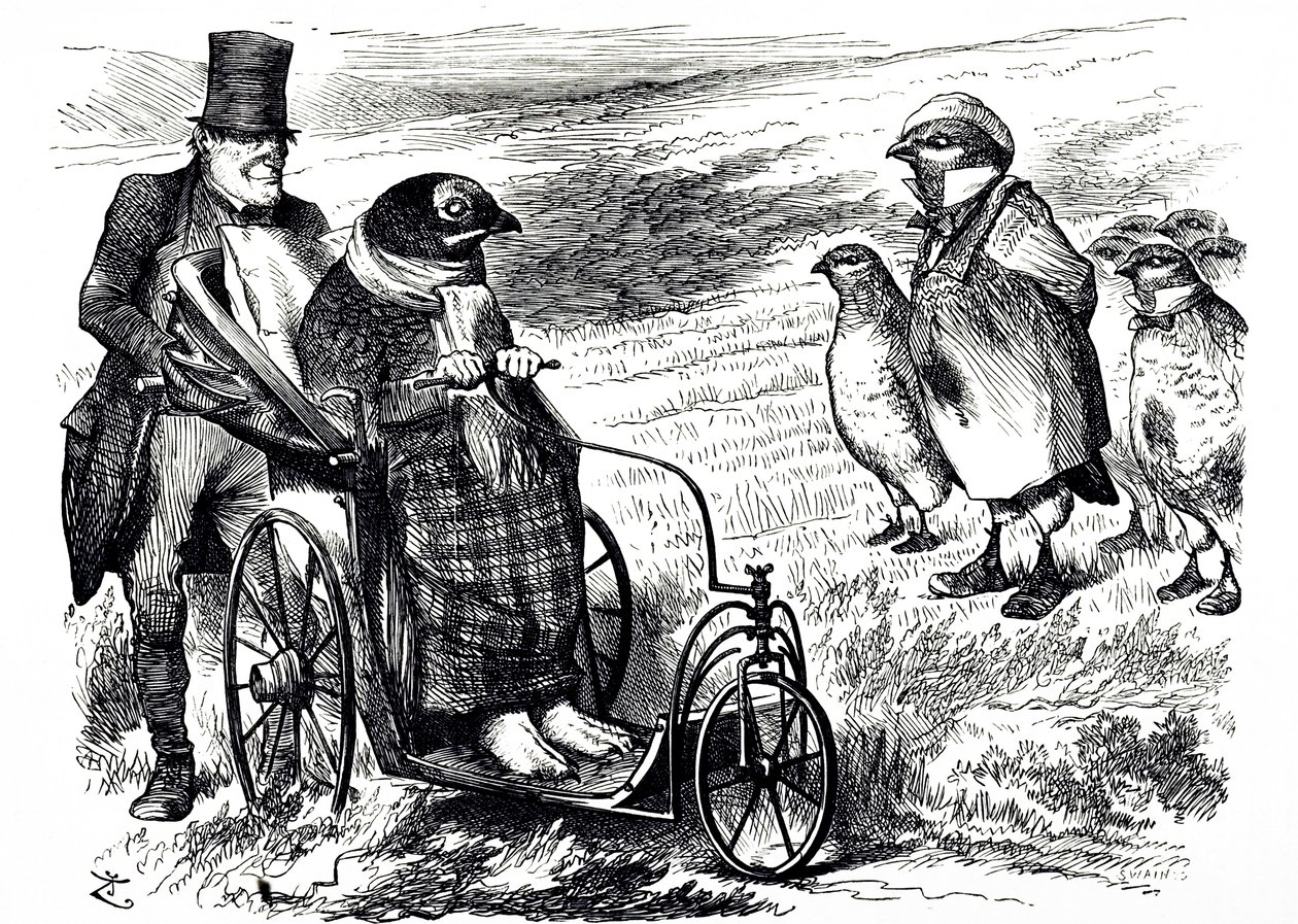 A cartoon commenting on the suspension of Grouse Shooting to allow the stock to rebuild. Illustrated by John Tenniel (1820-1914) an English illustrator, graphic humourist, and political cartoonist بواسطة جون تينيل