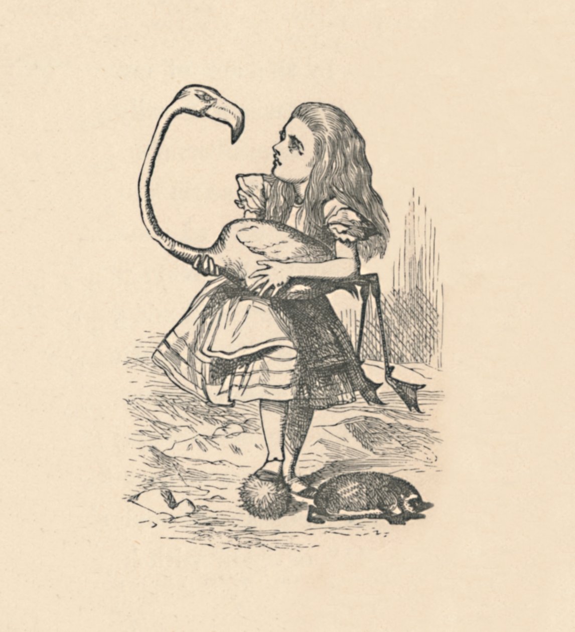 تحاول أليس لعب الكروكيه مع فلامنغو كمطرقة ، 1889 بواسطة جون تينيل