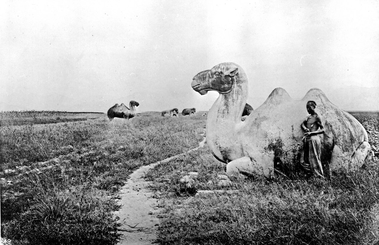 الصين ، إبل منحوتة على الطريقة الإمبراطورية ، حوالي 1870 (صورة) بواسطة جون طومسون