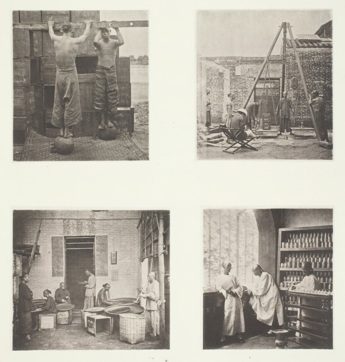 شاي الكبر والبارود المتداول المعطر ، شاي وزن للتصدير ، بيت الشاي ... ، ج. 1868. بواسطة جون طومسون