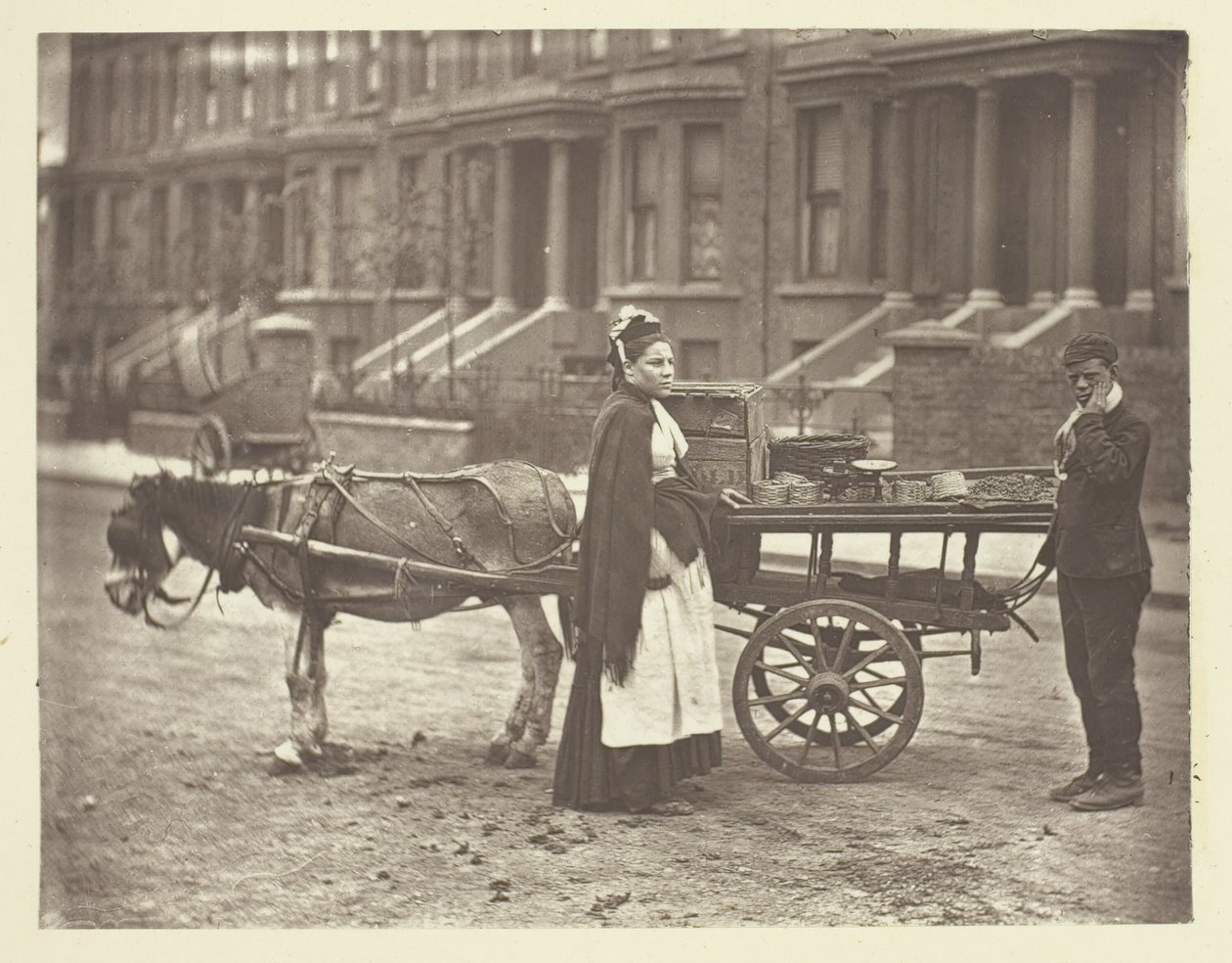 فراولة. كل شيء ناضج! كل ناضجة !، 1881. بواسطة جون طومسون
