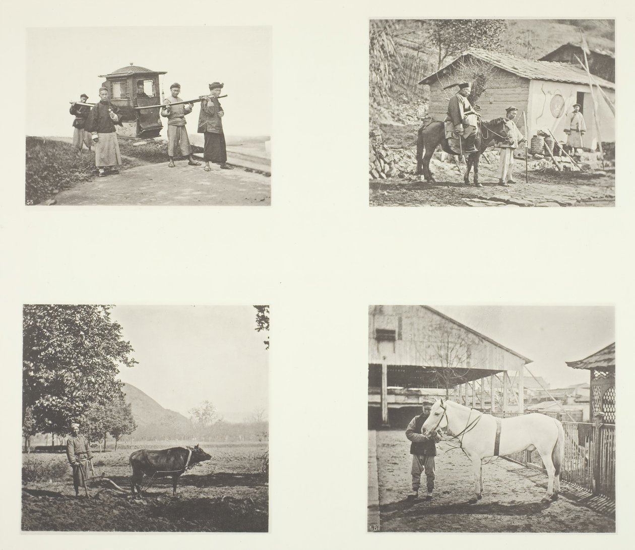 السيدان ، ضابط عسكري ، The Plow ، A North China Pony ، ج. 1868. بواسطة جون طومسون