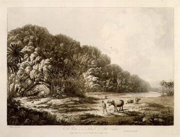 منظر لجزيرة بولو كوندور ، من حانة "Views in the South Seas". 1792 (حفر) بواسطة جون ويبر