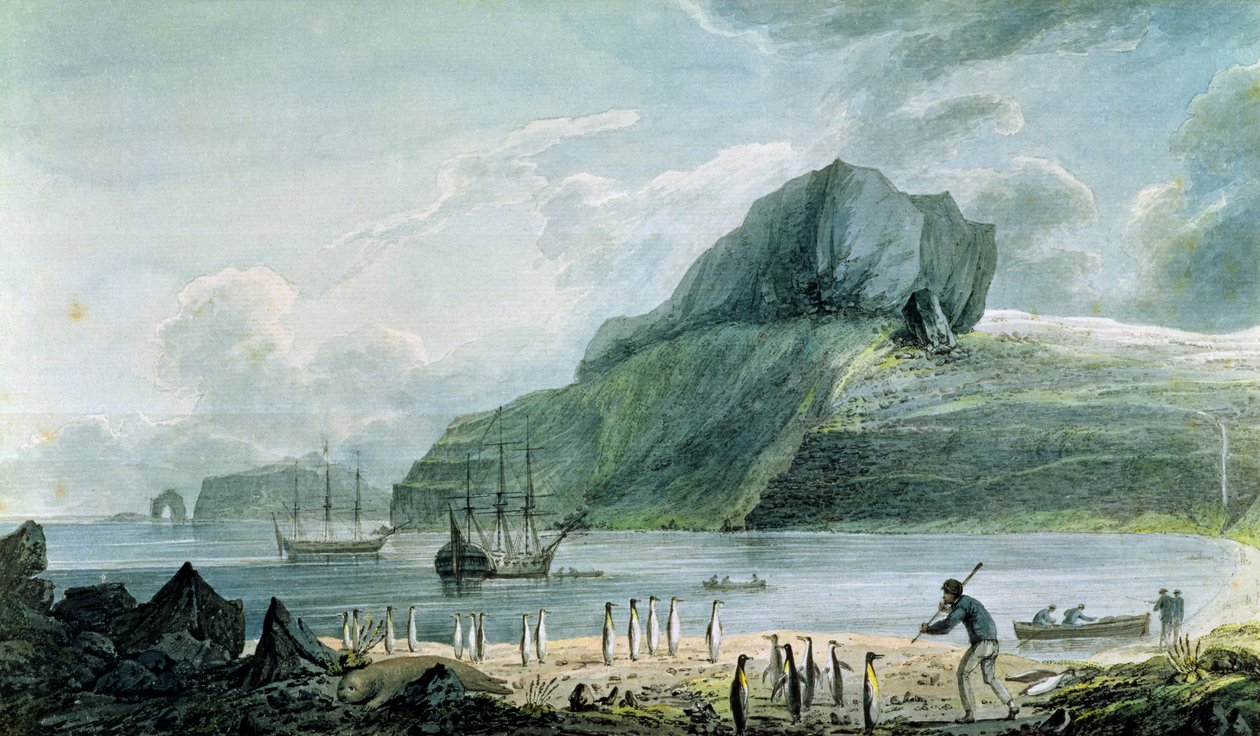 منظر لميناء عيد الميلاد في أرض كيرغولين ، 1781-4 بواسطة جون ويبر