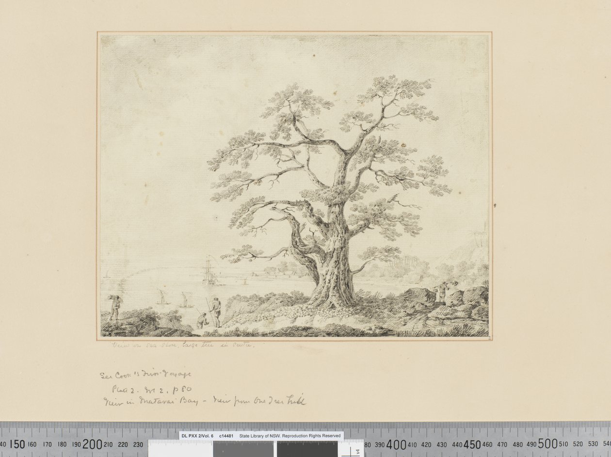 F.44 منظر على شاطئ البحر ، شجرة كبيرة في المنتصف ، حوالي 1783-84 بواسطة جون ويبر