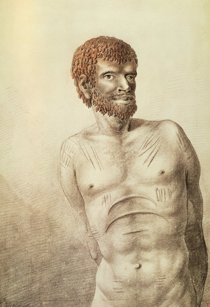 موطن أرض فان ديمن ، تسمانيا الآن ، يناير 1777 ، رسم جون ويبر (1750-1793) أستراليا بواسطة جون ويبر