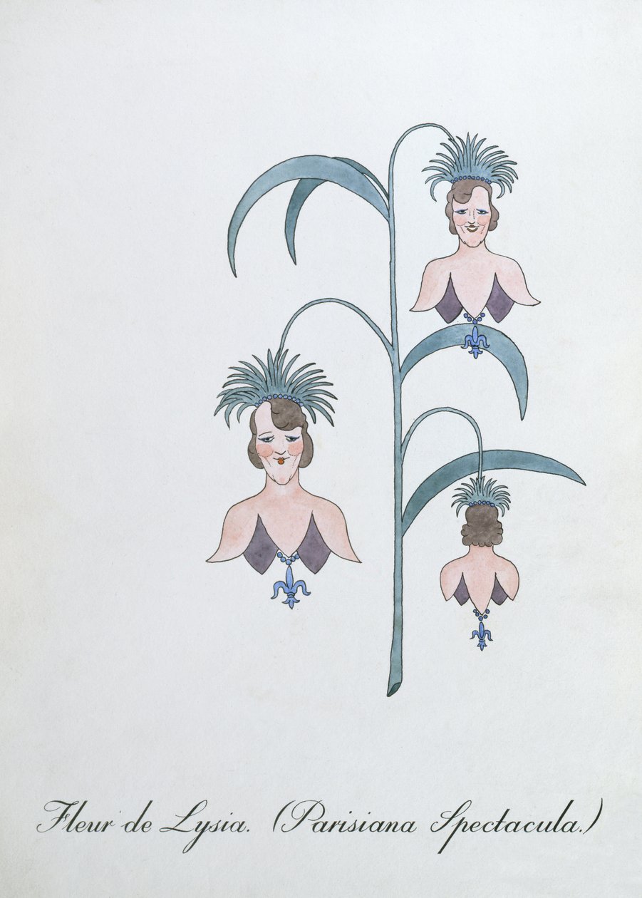 فلور دي ليسيا (Parisiana Spectacula.) ، رسم توضيحي من "The Bogus Book of Botany" بقلم جون وير بواسطة جون وير