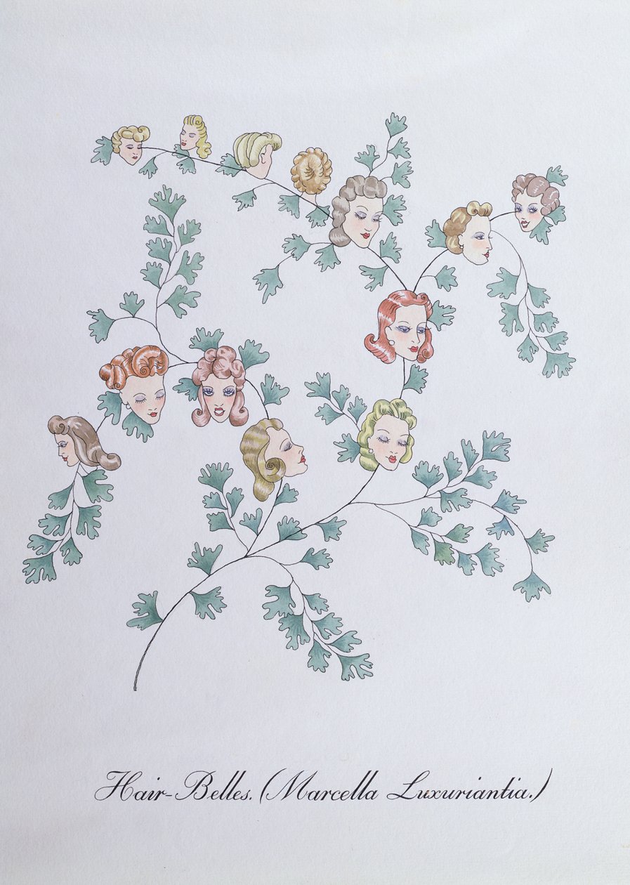 Hair-Belles (Marcella Luxuriantia) ، رسم توضيحي من "The Bogus Book of Botany" لجون وير بواسطة جون وير