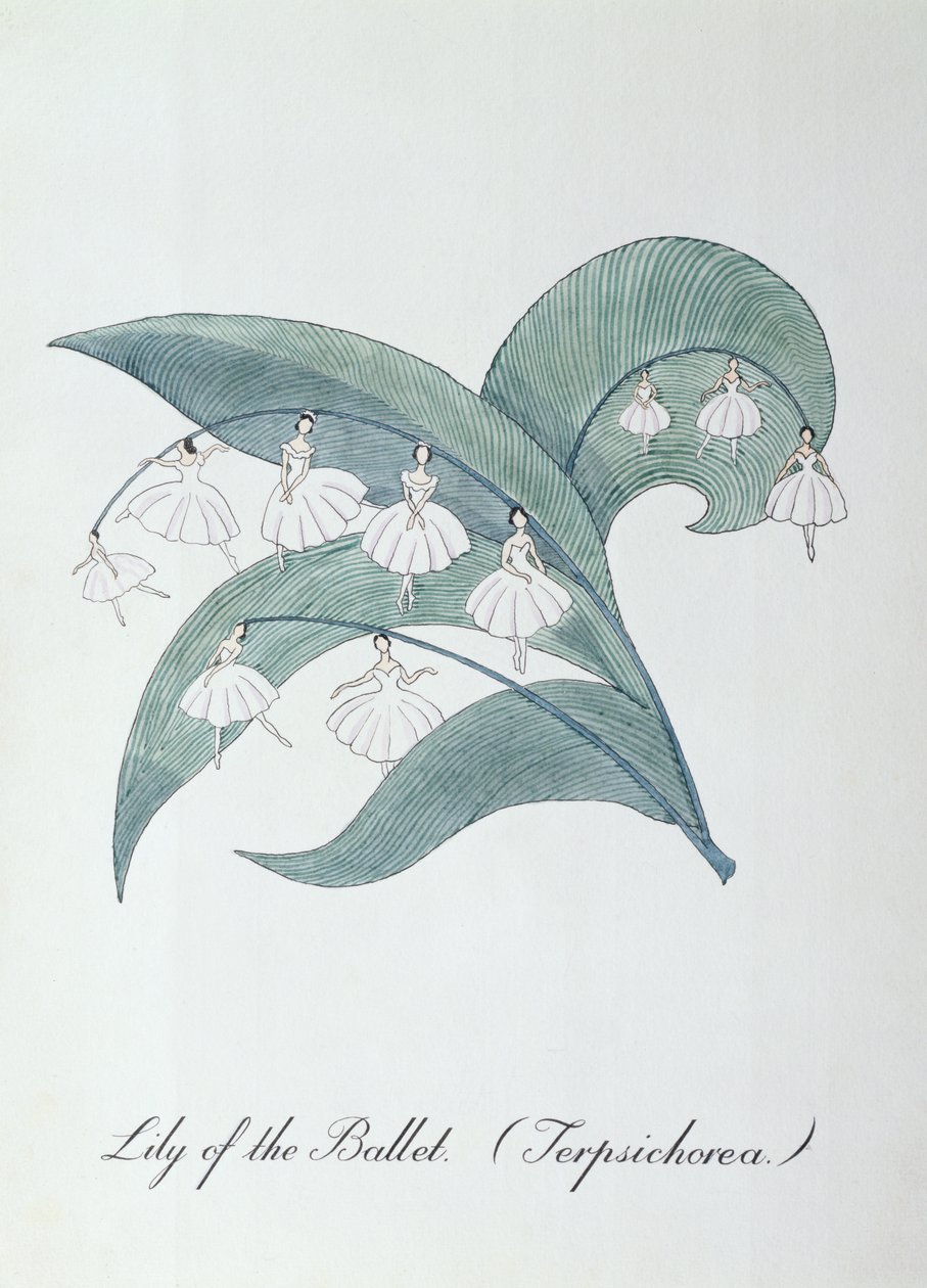 Lily of the Ballet (Terpsichore.) ، رسم توضيحي من "The Bogus Book of Botany" بقلم جون وير بواسطة جون وير