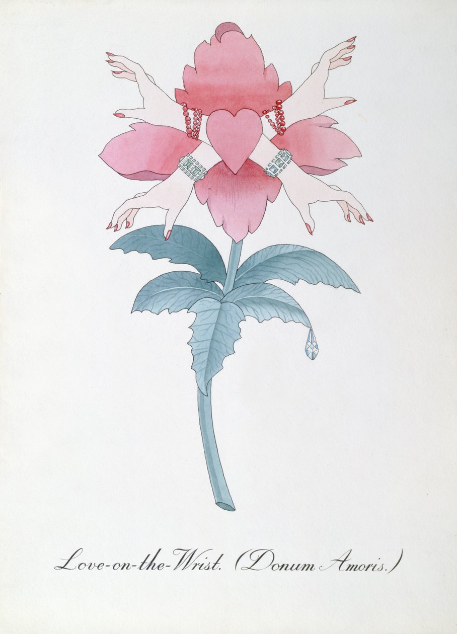 رسم توضيحي لـ Love-on-the-Wrist (Donum Amoris.) من "The Bogus Book of Botany" لجون وير بواسطة جون وير