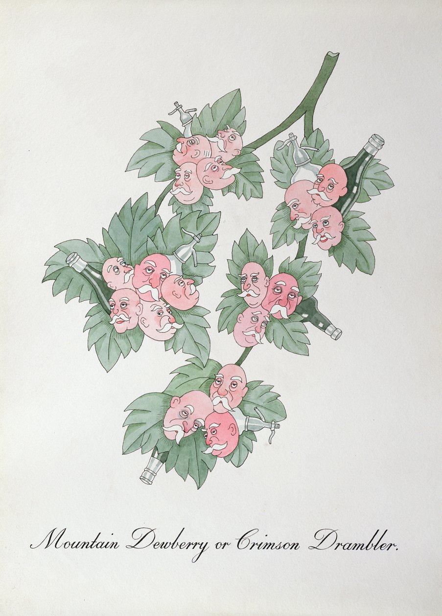 Mountain Dewberry أو Crimson Drambler ، رسم توضيحي من "The Bogus Book of Botany" لجون وير بواسطة جون وير