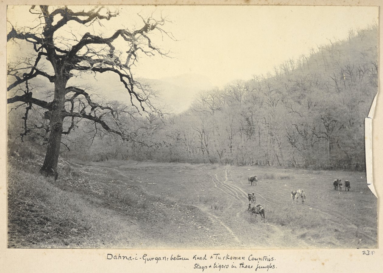 مقاطعة رضوي خراسان ، إيران ، حوالي 1908 (b / w photo) بواسطة جون ويليامز واتسون