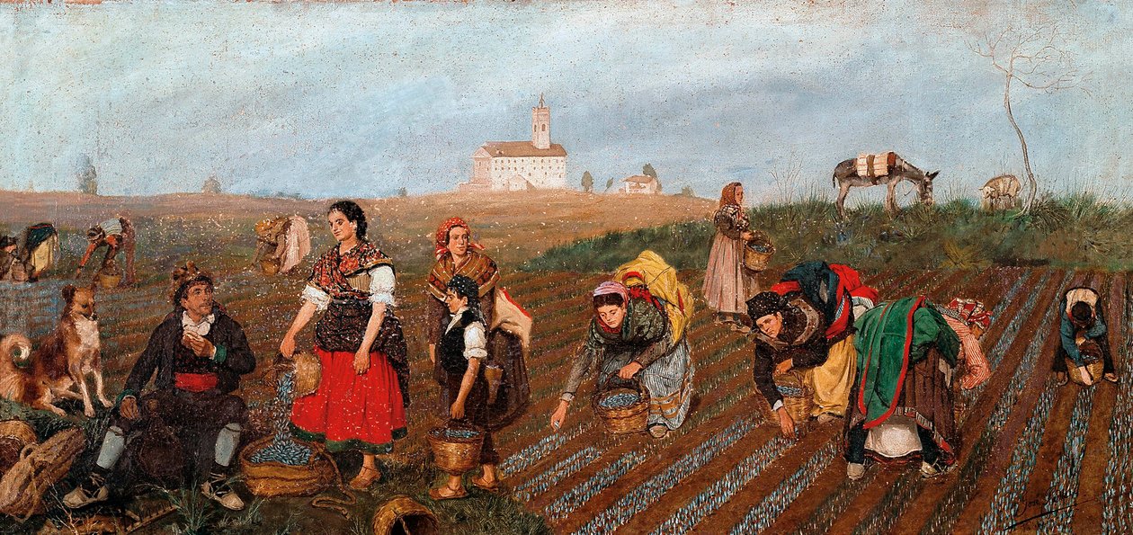 تفاصيل "مجموعة الزعفران". رسم خوسيه ألبينانا برو (القرن التاسع عشر). 1877. فالنسيا. متحف الفنون الجميلة San Pio V. بواسطة خوسيه برو ألبينانا
