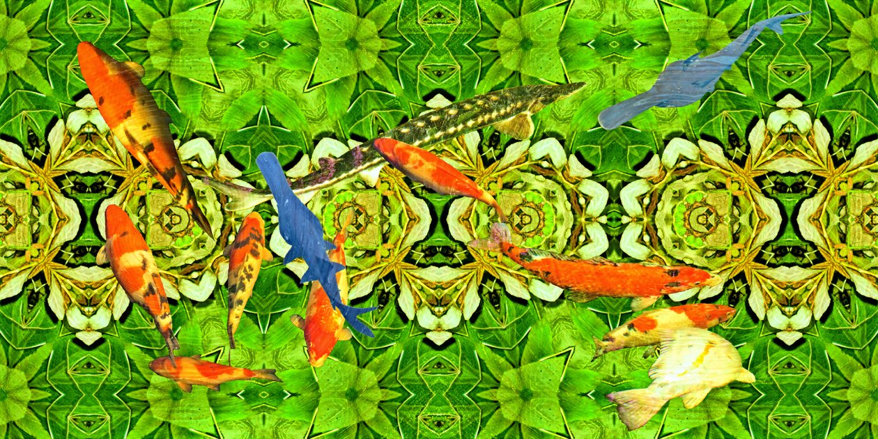 المخلوقات: Koi carp fish under water garden 3 بواسطة جوزيف جوهان مايكل