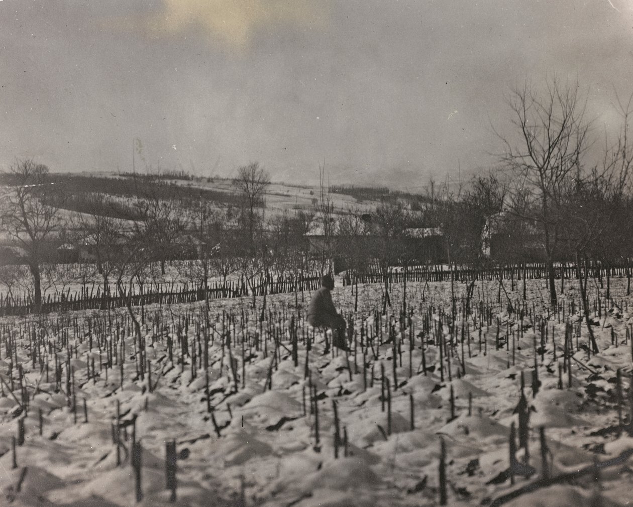 Album "Meine weltkriegs - Erinnerungen South-West Front (Carinthia, Italien, South Tyrol) (My world war - memories of the South-Western Front in Carinthia, Italy, Trentino-Alto Adige) 31/03/1915-12/11/1918 - Josef Zohles Wien ": military Cemetery (b/w phot بواسطة جوزيف زوهليس