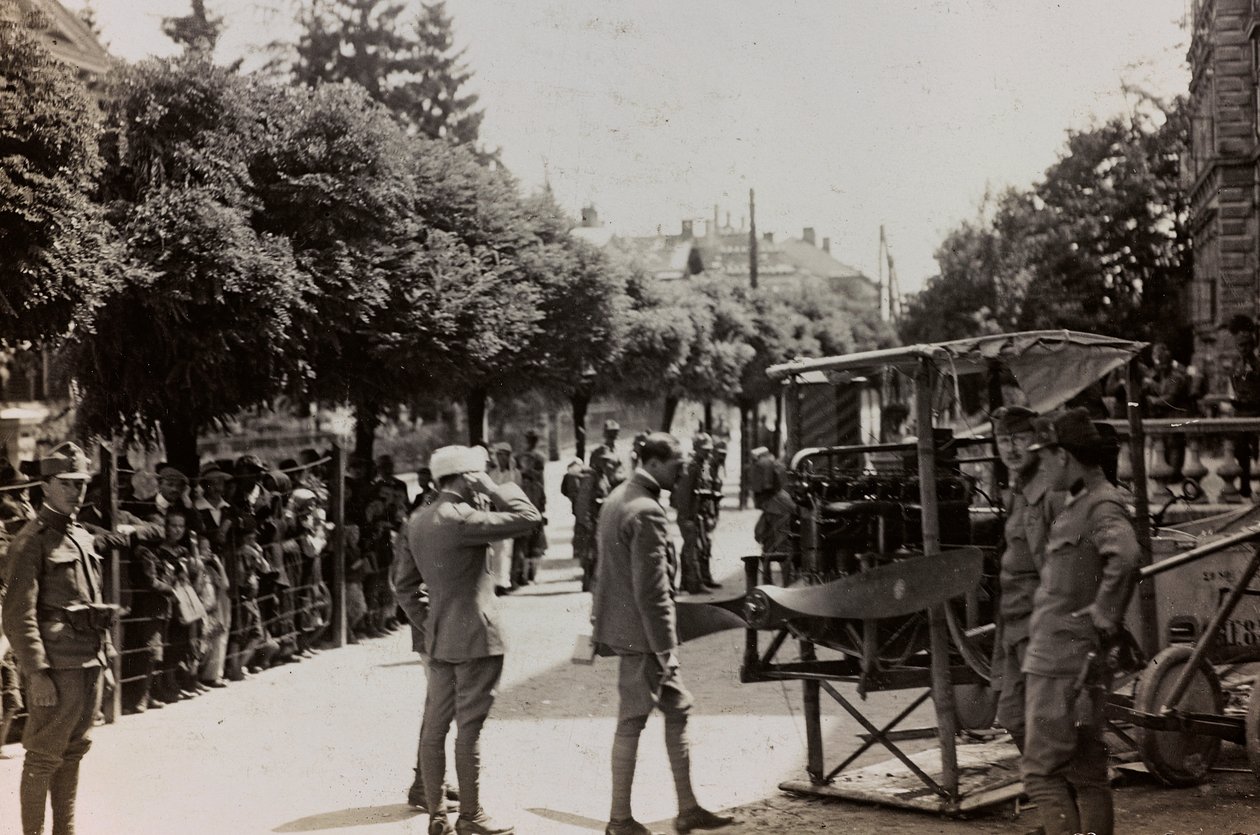 ألبوم "بلدي الحرب العالمية - ذكريات الجبهة الجنوبية الغربية (كارينثيا ، إيطاليا ، جنوب تيرول) (حربتي العالمية - ذكريات الجبهة الجنوبية الغربية في كارينثيا ، إيطاليا ، ترينتينو ألتو أديجي) 31/03 / 1915-12 / 11/1918 - جوزيف زوهليس فيينا ": جنود نمس بواسطة جوزيف زوهليس